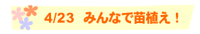 4/23 みんなで苗植え！
